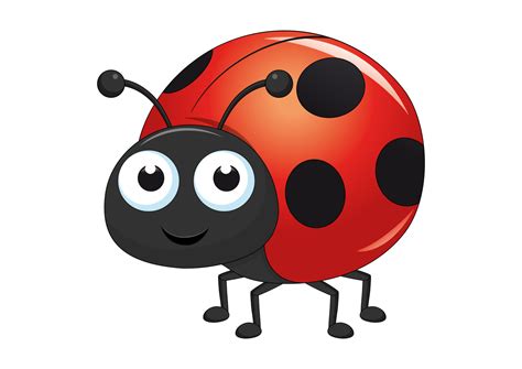 Ladybug Vector Art Icons And Graphics For Free Download