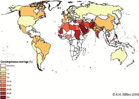 Global Prevalence Of Consanguinity As Cited By Bittles Ah Black Ml