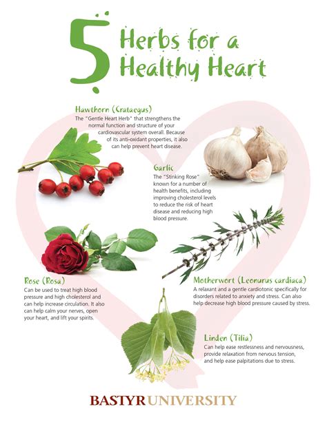 5 Herbs To Fortify Your Heart Calm And Lift Your Spirits
