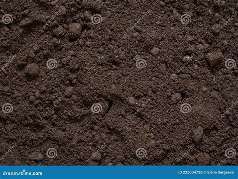 Soil Background Soil Texture Black Soil With Manure For Plant Growth