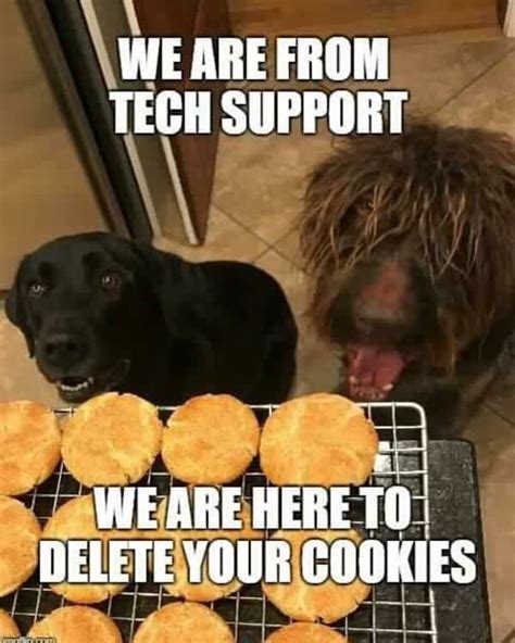 Tech Support Funny Animal Memes Funny Animals Funny Dog Memes