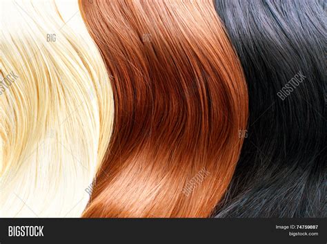Hair Colors Palette Different Hair Image And Photo Bigstock