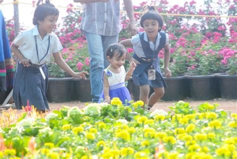 Children Living Amidst Greenery Are More Attentive And Have A Better