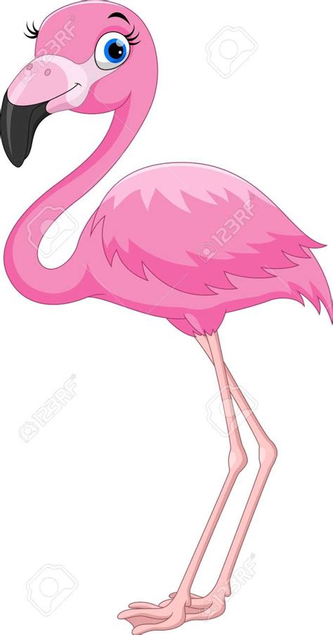 Cartoon Pink Flamingo Bird Stock Vector 104461035 Flamingo Projects