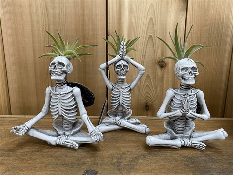 Spotted: Trader Joe's Halloween Yoga Skeletons Are Back! - Tinybeans