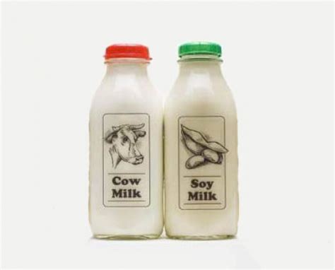 Is Soy Milk Better Than Milk From A Cow