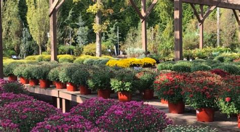 The following is a list of landscape plants rated according to their resistance to deer damage. Take a Tour of Rutgers Nursery in Ringoes, NJ