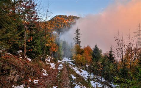 Herbst Berg Fußweg Schnee Wald Bäume Nebel Dämmerung