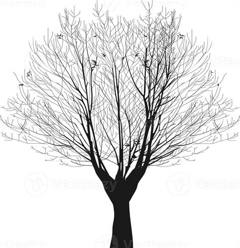 Naked Trees Silhouette Design Png My XXX Hot Girl