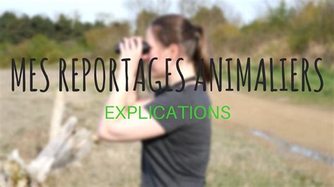 Mes Reportagesdocumentaires Animaliers Youtube