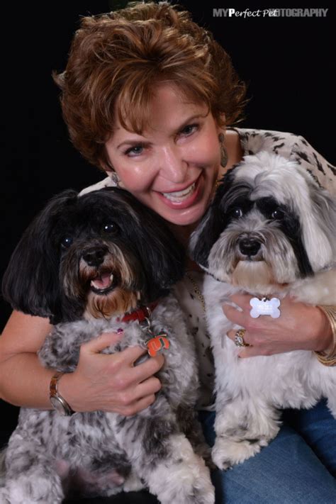Pet Therapy Program Humane Society Of Greater Miami Humane Society