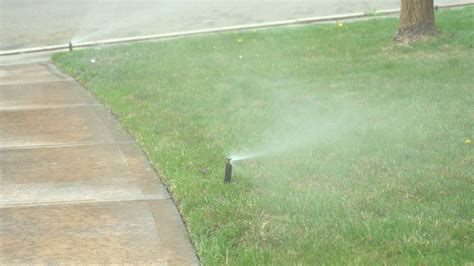 Making The Switch To High Efficiency Sprinkler Heads Denver Water