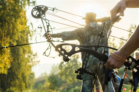 5 Bow Hunting Tips Serious Hunters Need To Know Ulearning