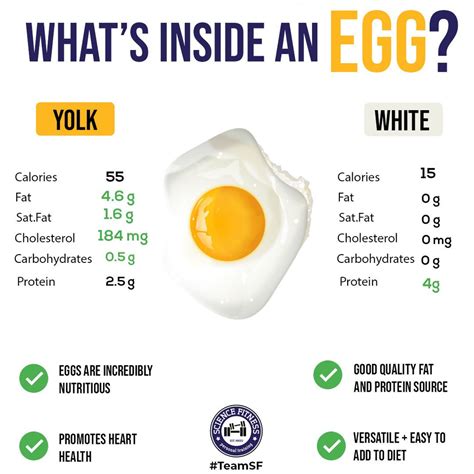 The Incredible Benefits Of Egg Yolks Noble Origins