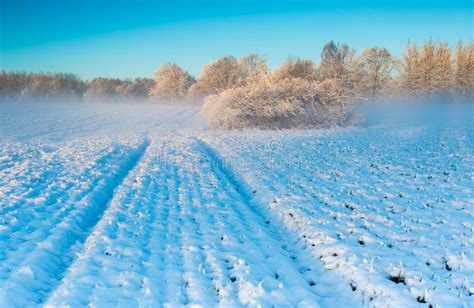 Winter Field At Sunrise Stock Image Image Of Perspective 48465595