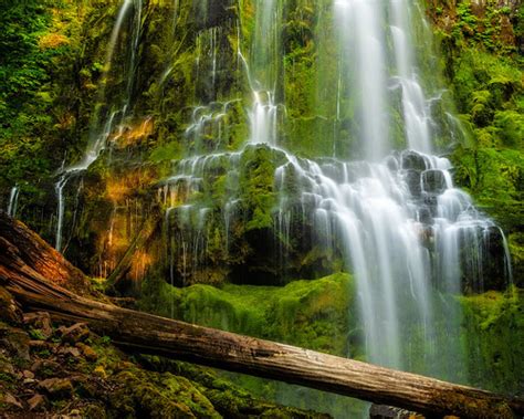 Proxy Falls This Beautiful 225 Ft Waterfall In The Oregon Flickr