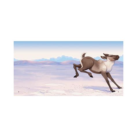 Life Cycles Of Caribou Or72802