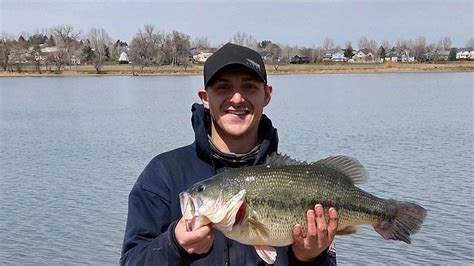 Montana Angler Lands New State Record Largemouth Bass Daily Inter Lake