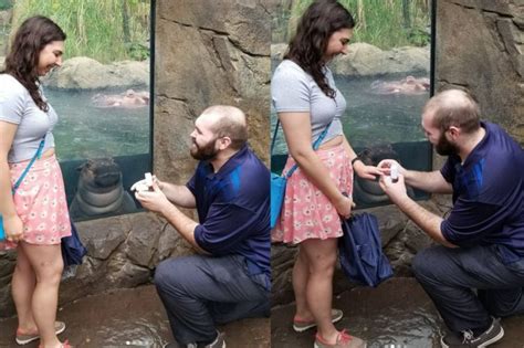 This Couple Had The Best Photobomb In Their Proposal Pic