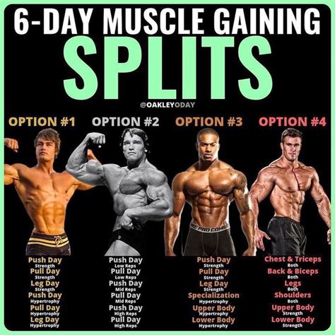 Push Pull Legs Split Day Weight Training Workout Schedule And Plan GymGuider Com