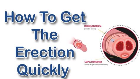 How To Get An Erection Quickly Get Hard And Quick Erection Instantly Youtube
