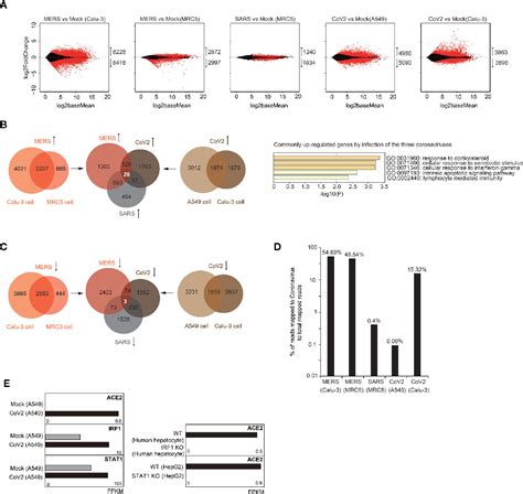 Frontiers Exogenous Coronavirus Interacts With Endogenous