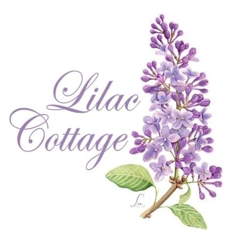 Pin By Judyaviles On Lilaccottage Lilac Flowers Lavender Cottage