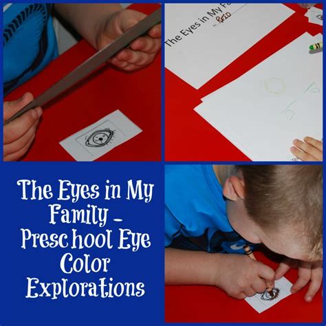 Preschool Science Exploring Eye Colors In Families The Preschool