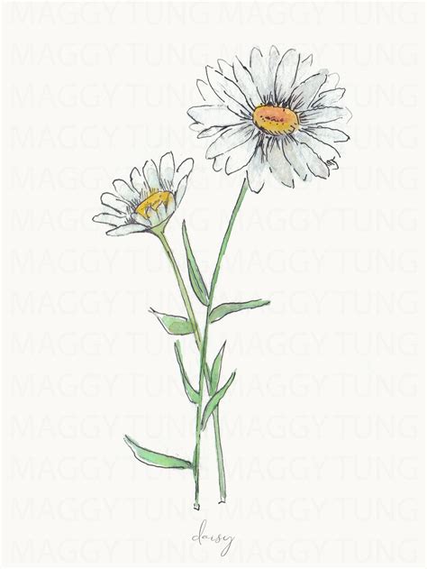April Daisy Birth Flower Watercolor Print Pdf Etsy