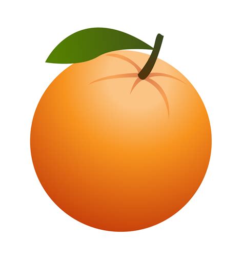 Free Fruit Orange Cliparts Download Free Fruit Orange Cliparts Png Images Free Cliparts On