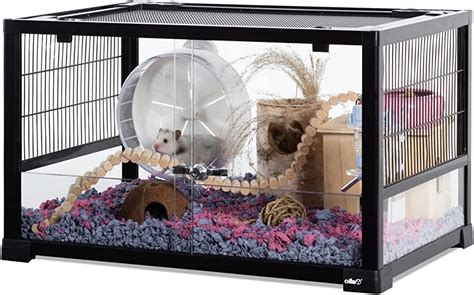 Escape Proofing The Cage Environment For Hamster Best 6 Cage