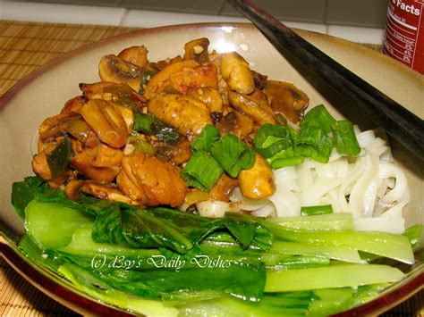 D3sys Daily Dishes Rice Noodle With Saute Chicken And