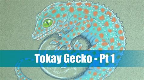 Tokay Gecko Drawing Pt1 Youtube