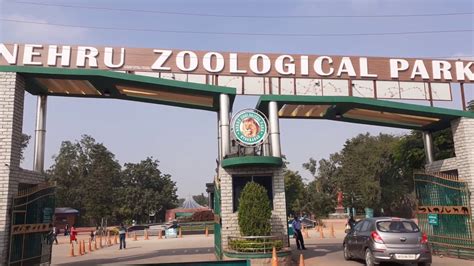 Nehru Zoo Park Entrance Nehru Zoo Park Timings And Entrance Nehru Zoo