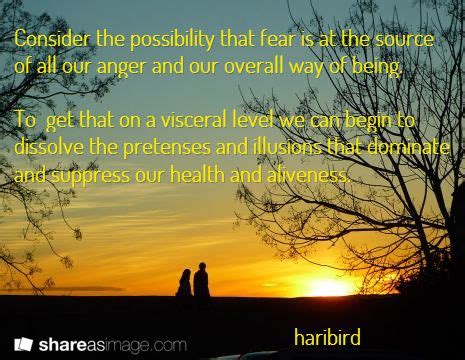 An explanation about the authority and/or qualifications of the author; Consider the possibility that fear is at the source of all our anger and our overall way of ...