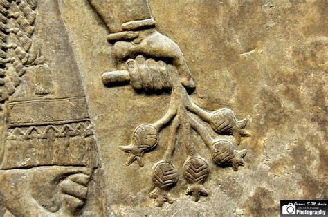 Wall Reliefs North West Palace Of Ashurnasirpal II Par Assyria