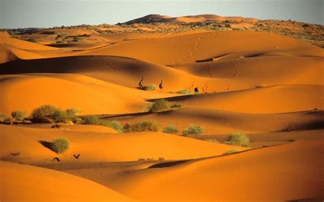 8 Stunningly Beautiful Deserts You Probably Havent Heard Of Travel