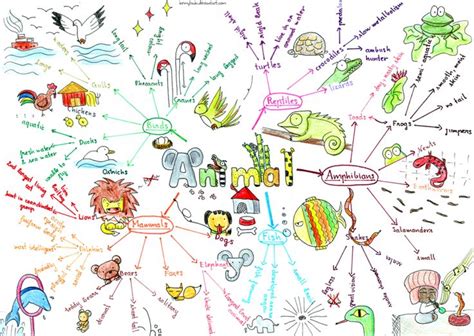 The Mind Map Is Filled With Different Things
