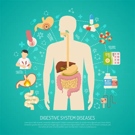 Ilustración De Enfermedades Del Sistema Digestivo Descargar Vectores