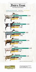 This Is A Really Nice Chart Showing The Average Milk Production Of The