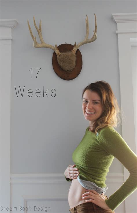 17 Weeks Pregnant Dream Book Design