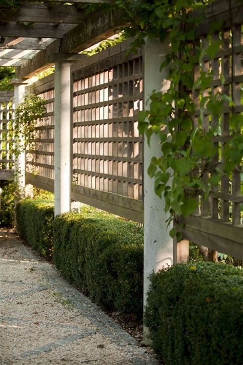 73 Simple Backyard Privacy Fence Design Ideas