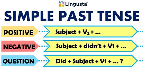 Study Past Simple Simple Past Tense Of Study Past