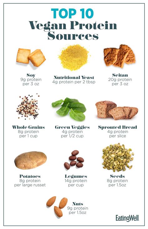 10 Best Vegan Protein Sources