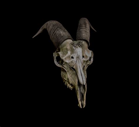 This information applies only to master mode and master mode worlds. Goat Skull Baphomet Mask | Ministry of Masks