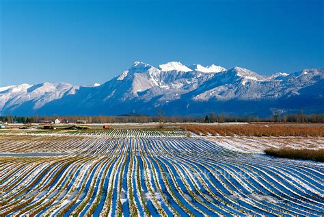 Fraser Valley Bc Farm Mount Cheam Cascade Mountains Pictures Images