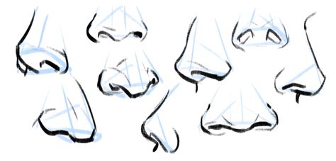 How To Draw A Nose Step By Step Proko