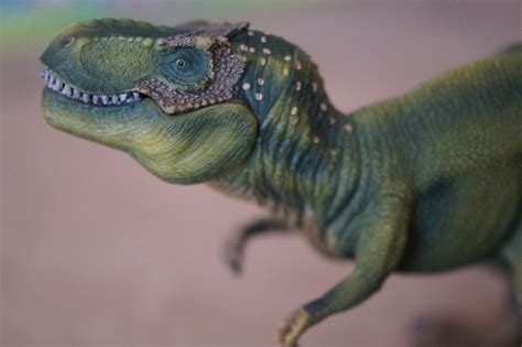 Dino Dinosaur Tyrannosaurus Rex Gratis Foto P Pixabay