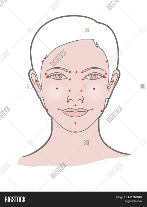 Shiatsu Points Face Image And Photo Free Trial Bigstock