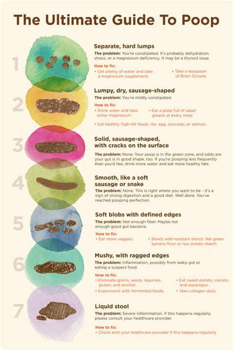 Poop Chart What The Color And Texture Of Your Stool Means Color Of